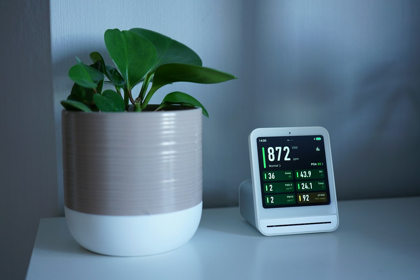An indoor air monitor showing readings beside a potted plant